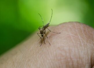 Ministerul de Externe, atenționare pentru românii care călătoresc în țările afectate de apariţia cazurilor de malarie Malarie