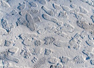 Urme de paşi umani vechi de 100.000 de ani, descoperite în Maroc Urme de pasi