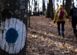 Refugiu montan cu observator panoramic construit în Munţii Bodoc Muntii Bodoc