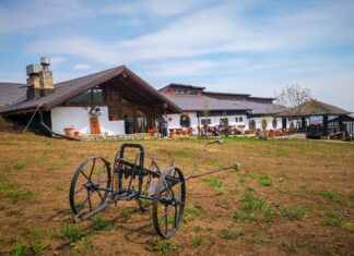 Patronul de la Ferma Dacilor, Cornel Dinicu vrea să scape de arestul la domiciliu Ferma Dacilor