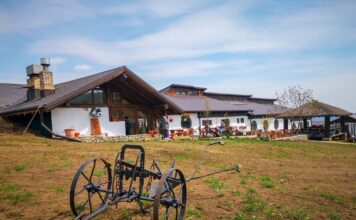 Patronul de la Ferma Dacilor, Cornel Dinicu vrea să scape de arestul la domiciliu Ferma Dacilor