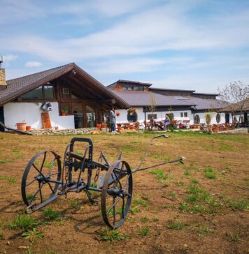 Patronul de la Ferma Dacilor, Cornel Dinicu vrea să scape de arestul la domiciliu Ferma Dacilor