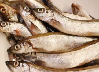 Sfaturi de la ANPC privind peştele cumpărat de Florii peste