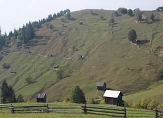 O nouă cale ferată până la Mănăstirea Moldovița Moldovita