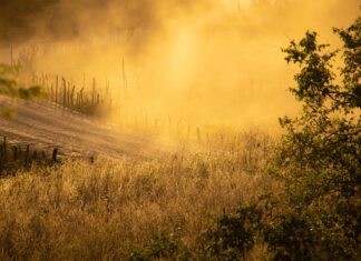 Grecia afectată de furtuna de praf din Sahara Praf saharian