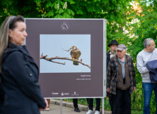 Teatru, jazz, sport de zilele orașului Sfântu Gheorghe Zilele orasului Sf Gheorghe