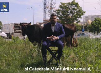 Vigheciu și-a trădat alegătorul…azi i-a dat o masă, mâine o duce la abator! Inteligent, foarte inteligent….