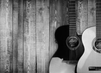 Festival de muzică folk, două zile, la Arad Muzica folk