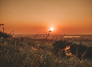 Tradiţii şi obiceiuri cu ocazia solstiţiului de vară 2024 solistitiu