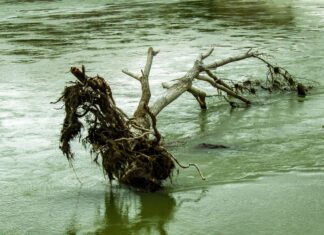 Român înecat în Italia, după ce a vrut să salveze un tânăr din Sri Lanka riu