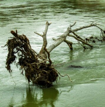 Român înecat în Italia, după ce a vrut să salveze un tânăr din Sri Lanka riu