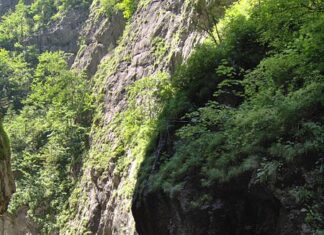 Alertă privitoare la o posibilă poluare pe râul Bicaz Riul Bicaz