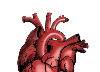 Avertismentul unui cardiolog britanic: 5 lucruri care conduc la boli cardiovasculare inima