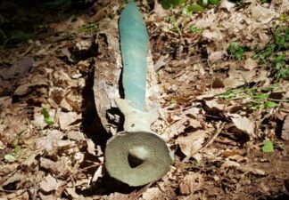 Sabie veche de 3.000 de ani, descoperită într-o pădure din România Sabie de bronz