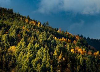 Trei sărbători ortodoxe mari prăznuite în luna noiembrie Noiembrie