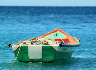 Percheziții la o grupare de hoți de componente de ambarcațiuni