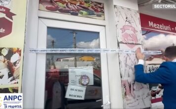 Piedone dă iama în restaurantele murdare din Sector 5: Alimente expirate, lipsă autorizații și amenzi uriașe!