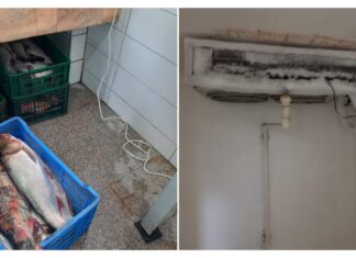 ANPC a descoperit nereguli grave în comerțul cu pește și a aplicat sancțiuni drastice Foto: ANPC
