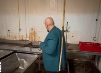 SC Picofarm SRL, sub sigiliile ANPC: abatorizare în condiții insalubre, risc grav pentru sănătatea publică