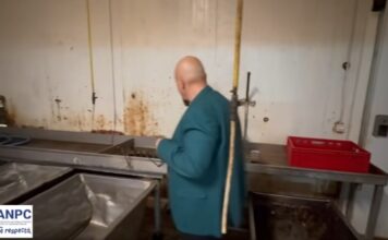 SC Picofarm SRL, sub sigiliile ANPC: abatorizare în condiții insalubre, risc grav pentru sănătatea publică