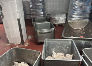 Conserve cu gust… de praf și rugină: ANPC a închis fabrica ZENA SRL din Domnești