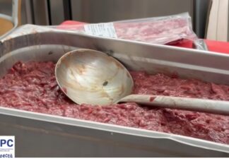 Dezastru igienic la Kungfu King: gândaci, muşte pe carne şi pericol real de toxiinfecţii