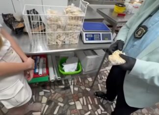 Scandal cu gândaci în farfurie! Comisarii ANPC au închis Restaurantul „Lavrion” din Mangalia: „Luați-o de la ZERO – sau apucați-vă de filatelie!”