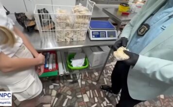 Scandal cu gândaci în farfurie! Comisarii ANPC au închis Restaurantul „Lavrion” din Mangalia: „Luați-o de la ZERO – sau apucați-vă de filatelie!”