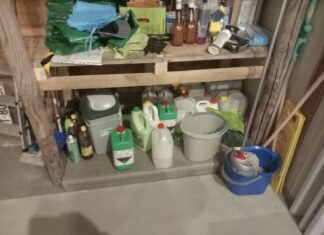 Piedone curăță cluburile murdare: ANPC închide localuri din Vama Veche și Costinești pentru nereguli grave