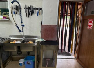 Groaza din tabăra Arieșeni: 26 de copii pe targă, bucătărie plină de carne suspectă și frigidere-rugină! ANPC închide blocul alimentar